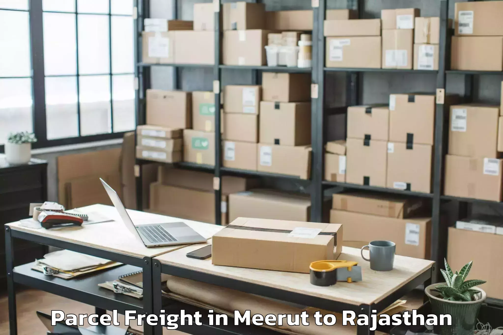 Leading Meerut to Ringas Parcel Freight Provider